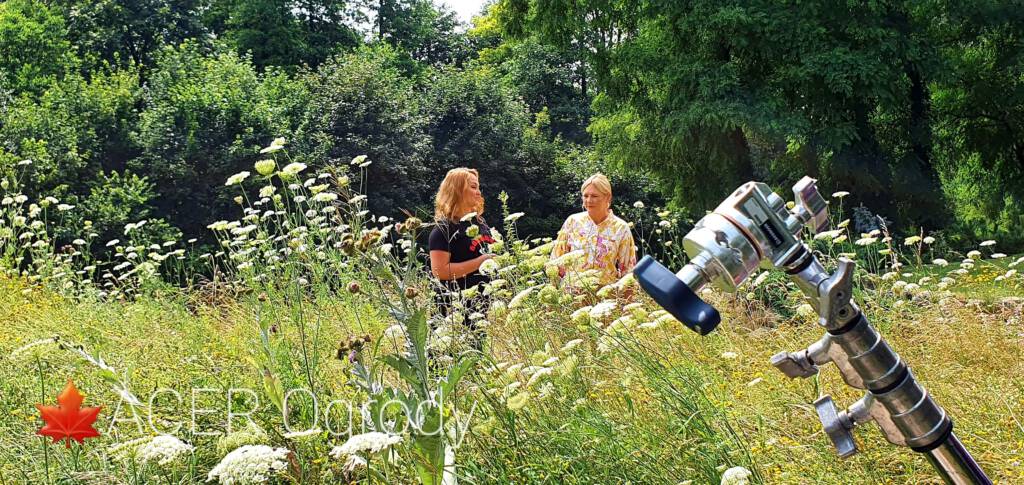 prezenterzy na tle łąki