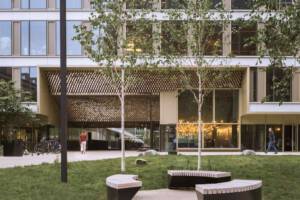 grafika przedstawiająca budynki